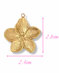 Charm AURÉA