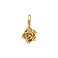 Juin - Rose