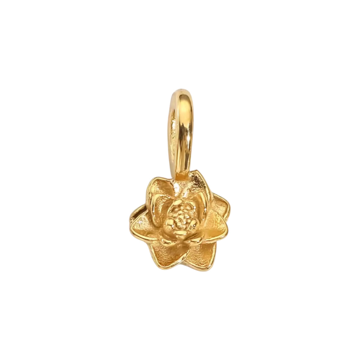 Juillet - Lotus