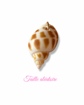 Charm HORIA