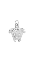Charm TURTLE