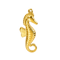 HIPPOCAMPE