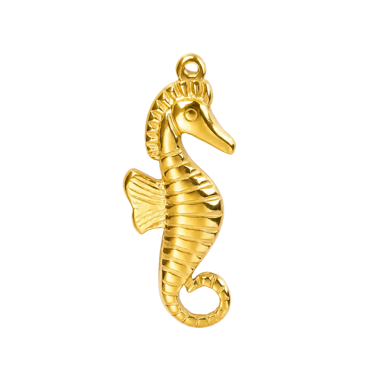 HIPPOCAMPE