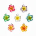 Charm MAUPITI